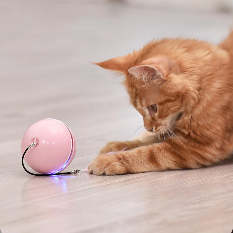 Moonbi - Self Moving Cat Toy